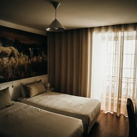 Puzzle 피게이라다포즈