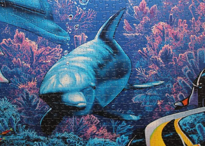 Puzzle 피게이라다포즈