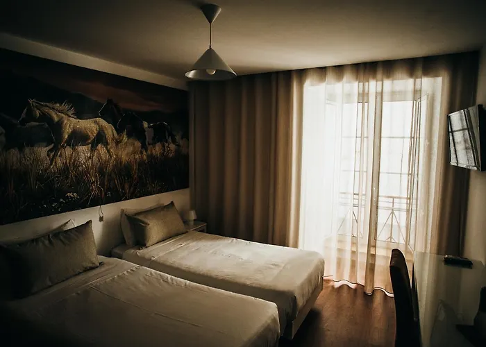 Puzzle 피게이라다포즈